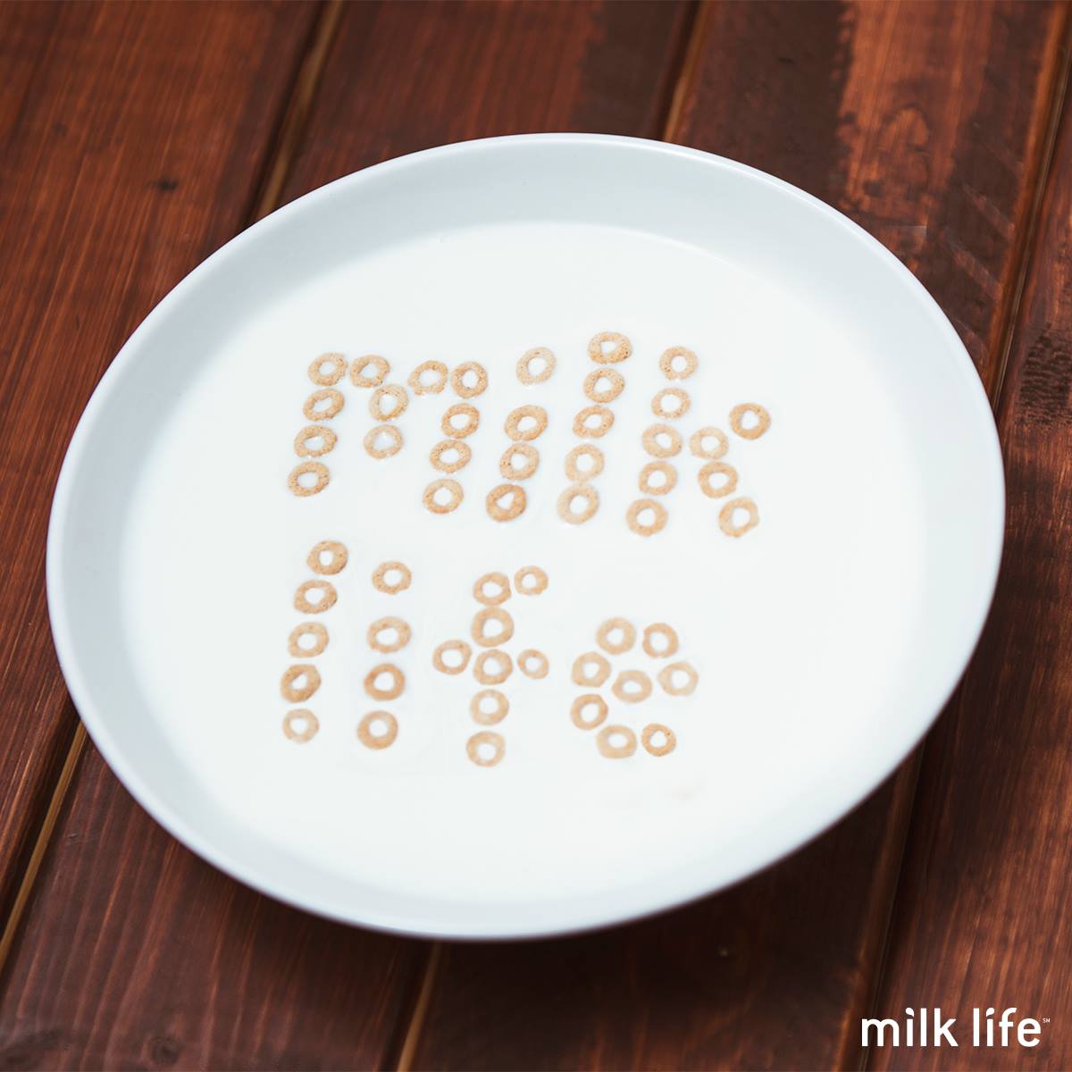 10339375_10152366454610027_2558594833303513152_o.jpg
